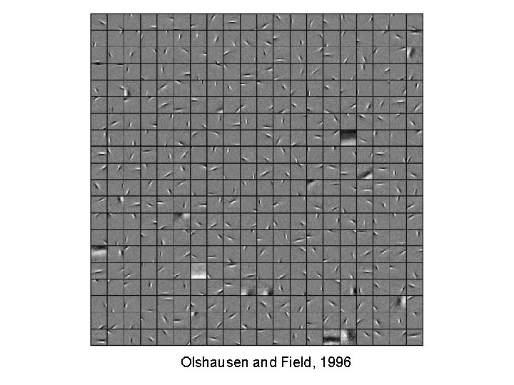 Olshausen and Field, 1996 