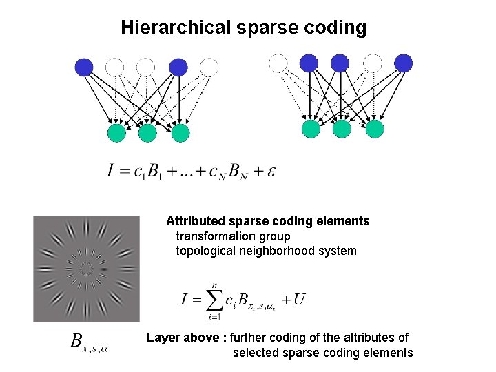 Hierarchical sparse coding Attributed sparse coding elements transformation group topological neighborhood system Layer above