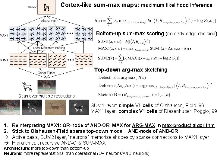 Cortex-like sum-max maps: maximum likelihood inference Bottom-up sum-max scoring (no early edge decision) Top-down