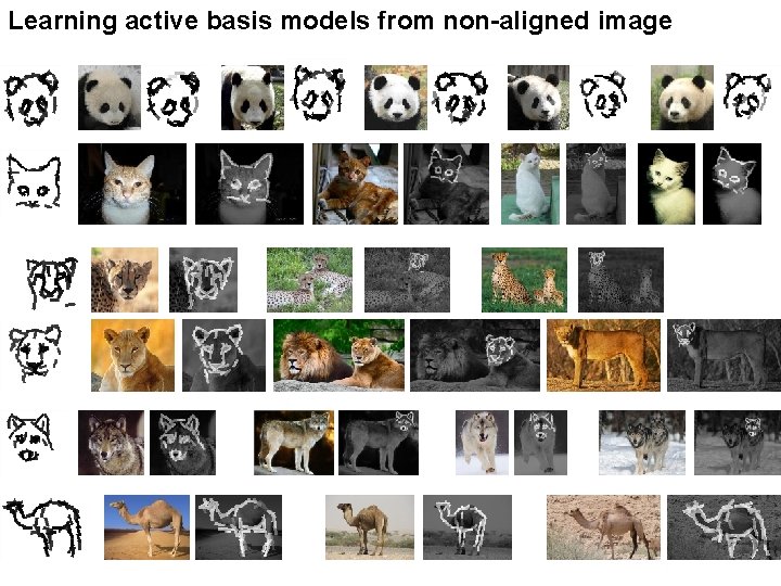 Learning active basis models from non-aligned image 