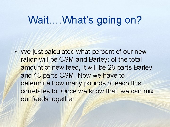 Wait…. What’s going on? • We just calculated what percent of our new ration