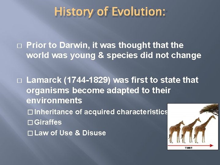 History of Evolution: � Prior to Darwin, it was thought that the world was