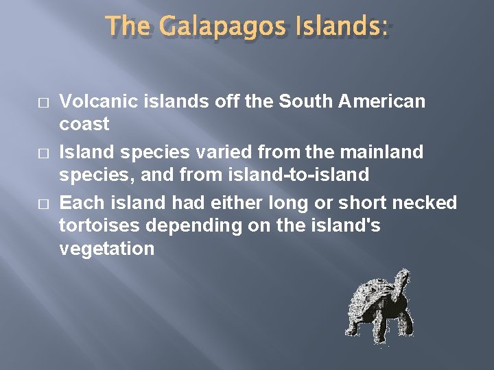 The Galapagos Islands: � � � Volcanic islands off the South American coast Island