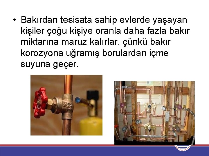  • Bakırdan tesisata sahip evlerde yaşayan kişiler çoğu kişiye oranla daha fazla bakır