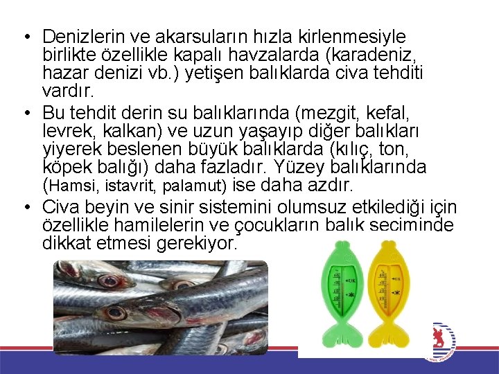  • Denizlerin ve akarsuların hızla kirlenmesiyle birlikte özellikle kapalı havzalarda (karadeniz, hazar denizi