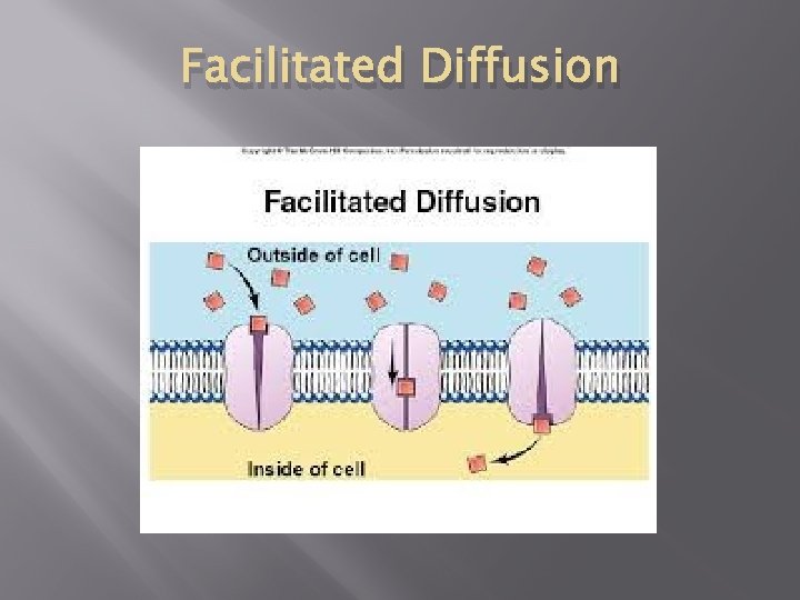 Facilitated Diffusion 