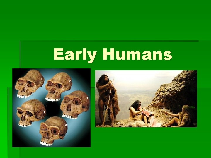 Early Humans 