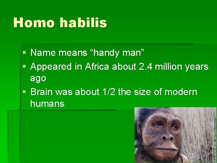 Homo habilis § Name means “handy man” § Appeared in Africa about 2. 4