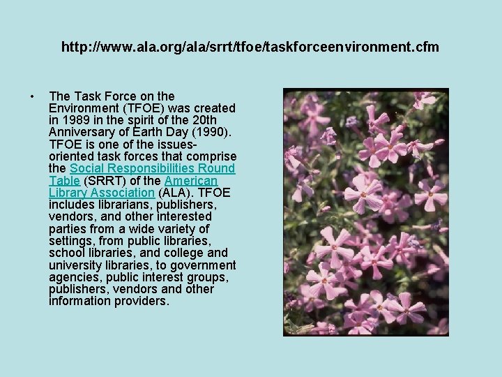 http: //www. ala. org/ala/srrt/tfoe/taskforceenvironment. cfm • The Task Force on the Environment (TFOE) was