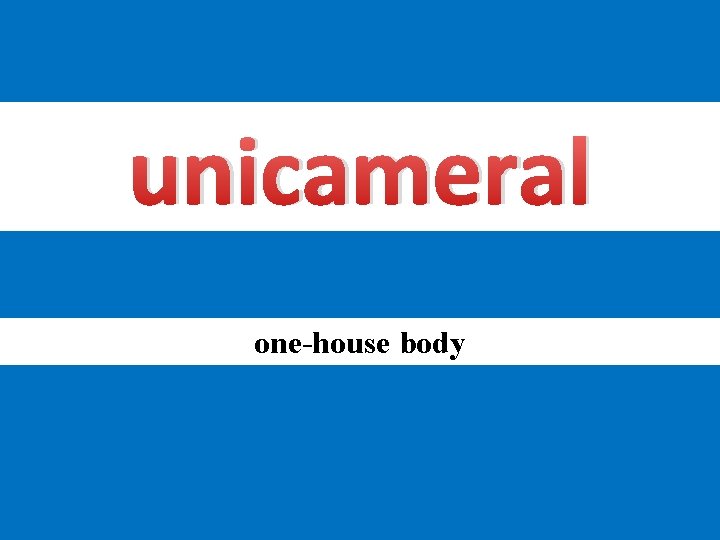unicameral one-house body 