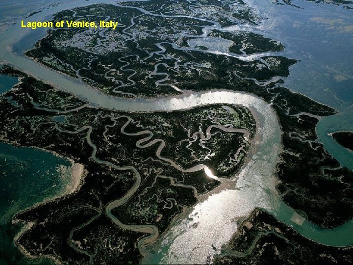 Lagoon of Venice, Italy 