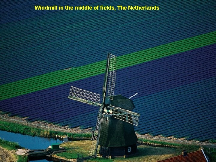 Windmill in the middle of fields, The Netherlands 