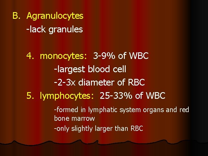 B. Agranulocytes -lack granules 4. monocytes: 3 -9% of WBC -largest blood cell -2