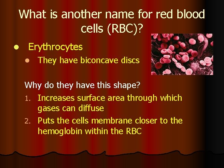 What is another name for red blood cells (RBC)? l Erythrocytes l They have