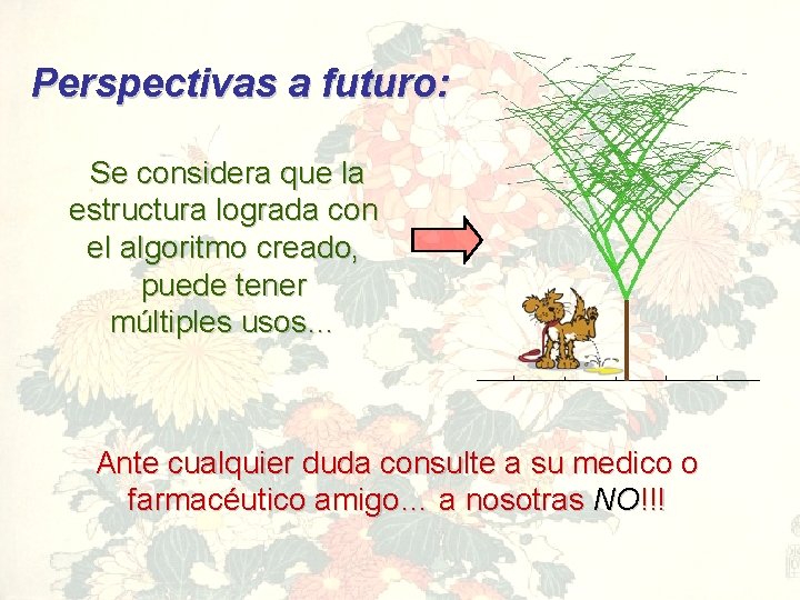 Perspectivas a futuro: Se considera que la estructura lograda con el algoritmo creado, puede