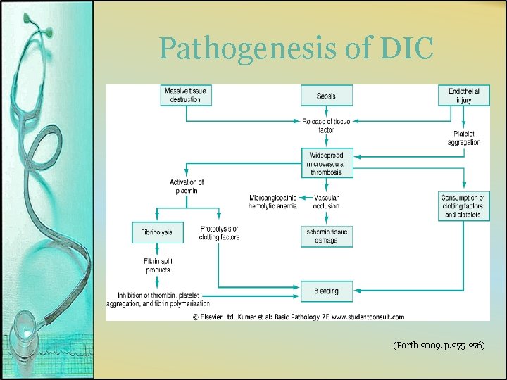 Pathogenesis of DIC (Porth 2009, p. 275 -276) 