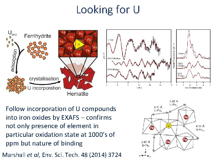 Looking for U Follow incorporation of U compounds into iron oxides by EXAFS –