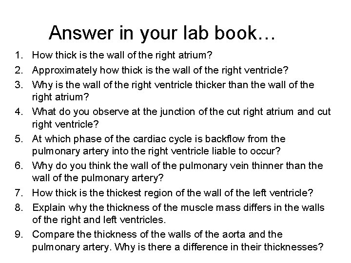 Answer in your lab book… 1. How thick is the wall of the right