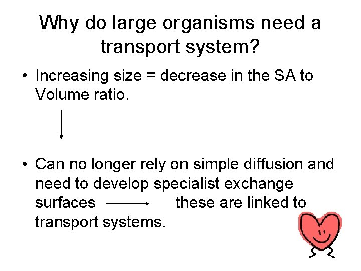 Why do large organisms need a transport system? • Increasing size = decrease in