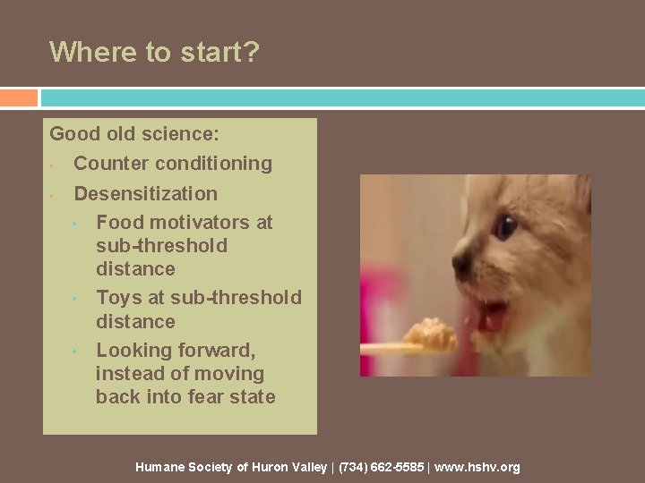 Where to start? Good old science: • • Counter conditioning Desensitization • Food motivators