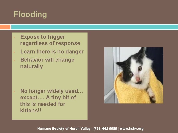 Flooding • • Expose to trigger regardless of response Learn there is no danger