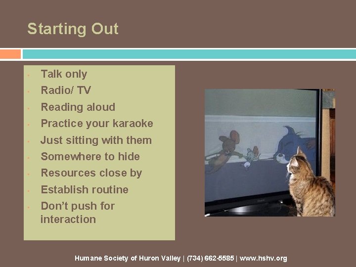 Starting Out • Talk only • Radio/ TV • Reading aloud • Practice your