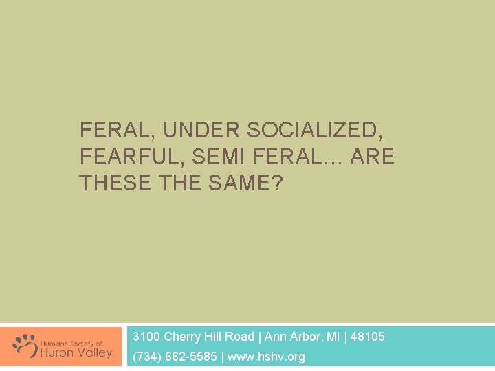 FERAL, UNDER SOCIALIZED, FEARFUL, SEMI FERAL… ARE THESE THE SAME? 3100 Cherry Hill Road