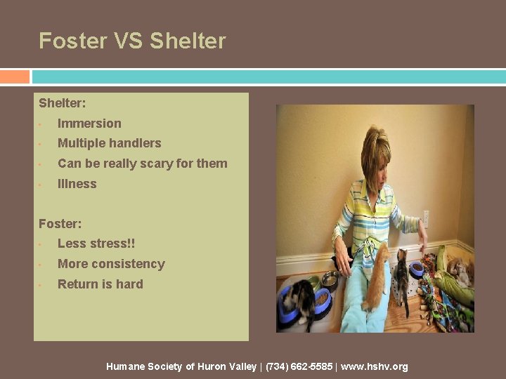 Foster VS Shelter: • Immersion • Multiple handlers • Can be really scary for