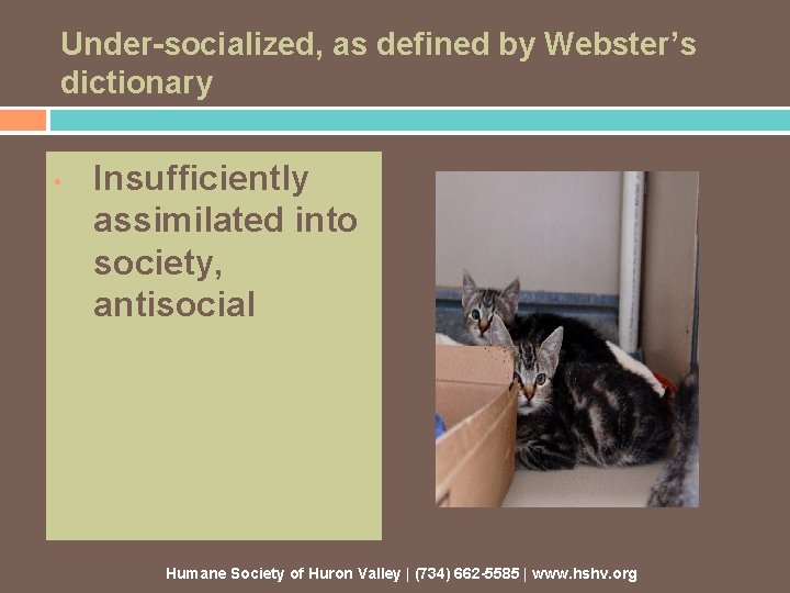 Under-socialized, as defined by Webster’s dictionary • Insufficiently assimilated into society, antisocial Humane Society