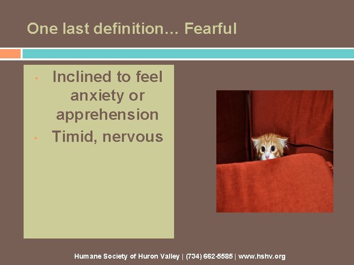 One last definition… Fearful • • Inclined to feel anxiety or apprehension Timid, nervous