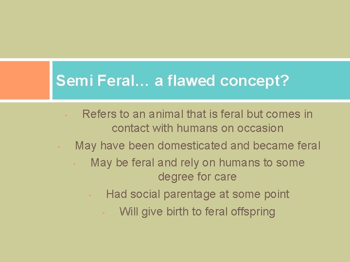 Semi Feral… a flawed concept? • • Refers to an animal that is feral