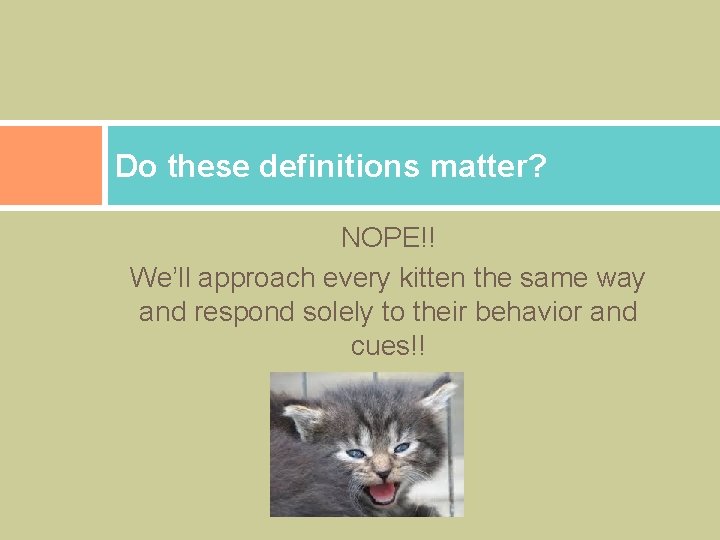 Do these definitions matter? NOPE!! We’ll approach every kitten the same way and respond