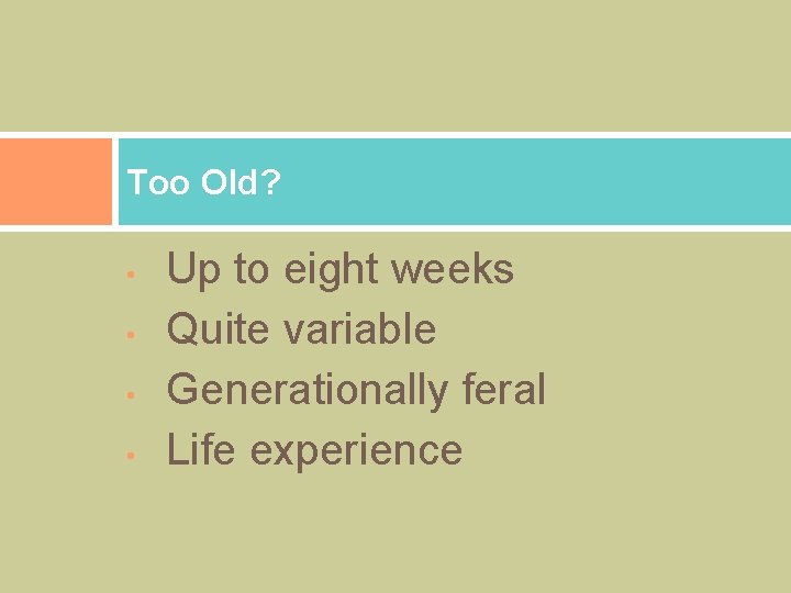 Too Old? • • Up to eight weeks Quite variable Generationally feral Life experience