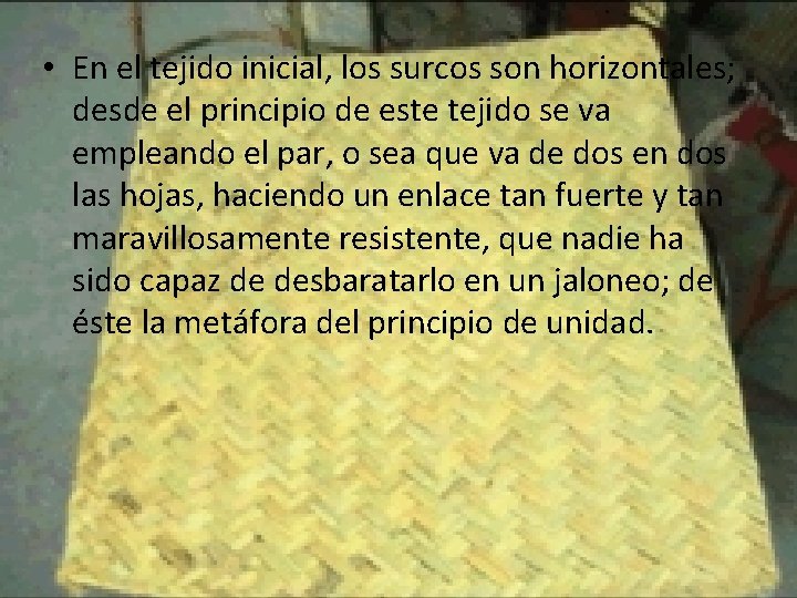  • En el tejido inicial, los surcos son horizontales; desde el principio de