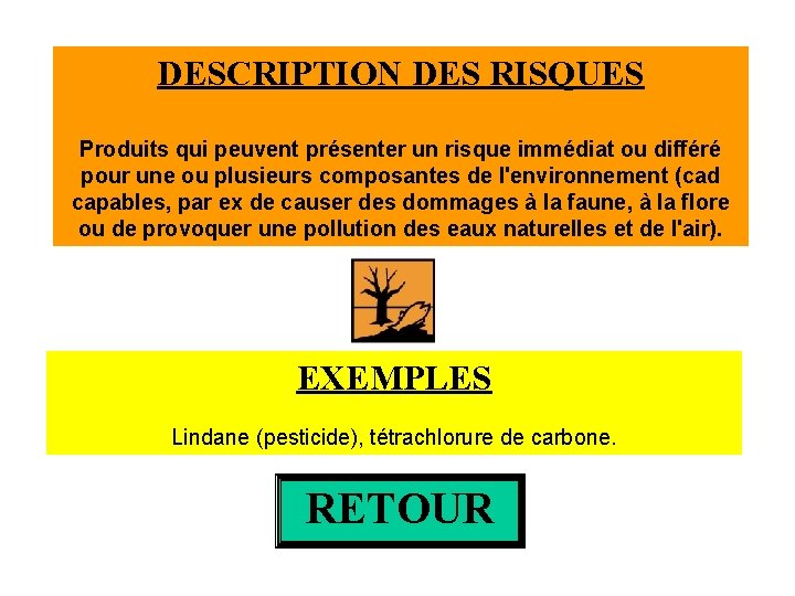 DESCRIPTION DES RISQUES Produits qui peuvent présenter un risque immédiat ou différé pour une