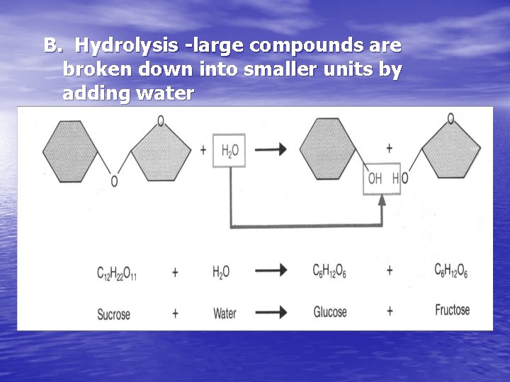 B. Hydrolysis -large compounds are broken down into smaller units by adding water 