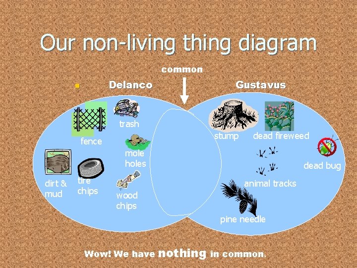 Our non-living thing diagram common Delanco n Gustavus trash stump fence dead fireweed mole