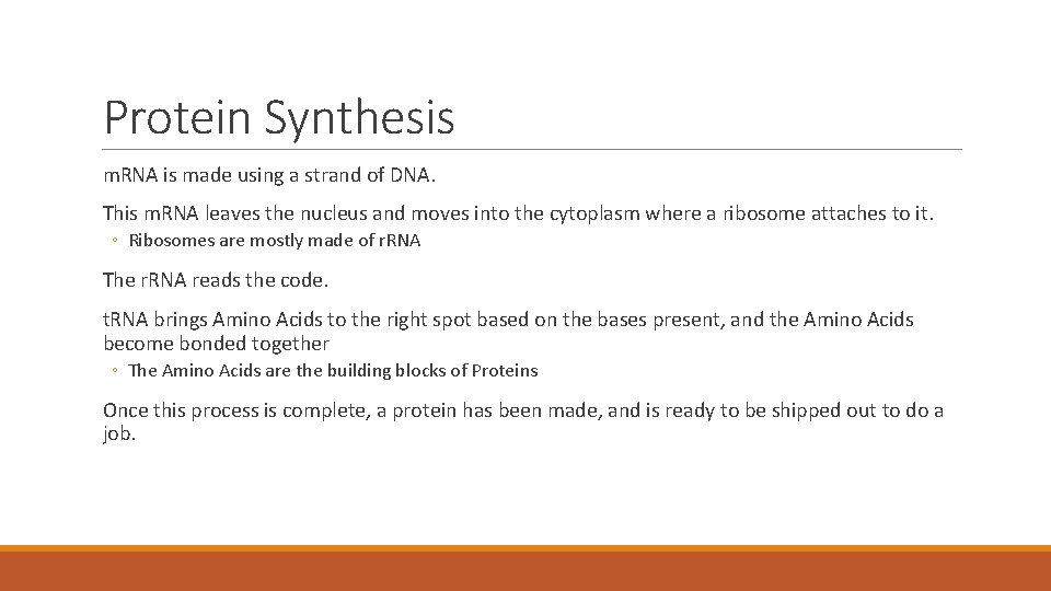 Protein Synthesis m. RNA is made using a strand of DNA. This m. RNA