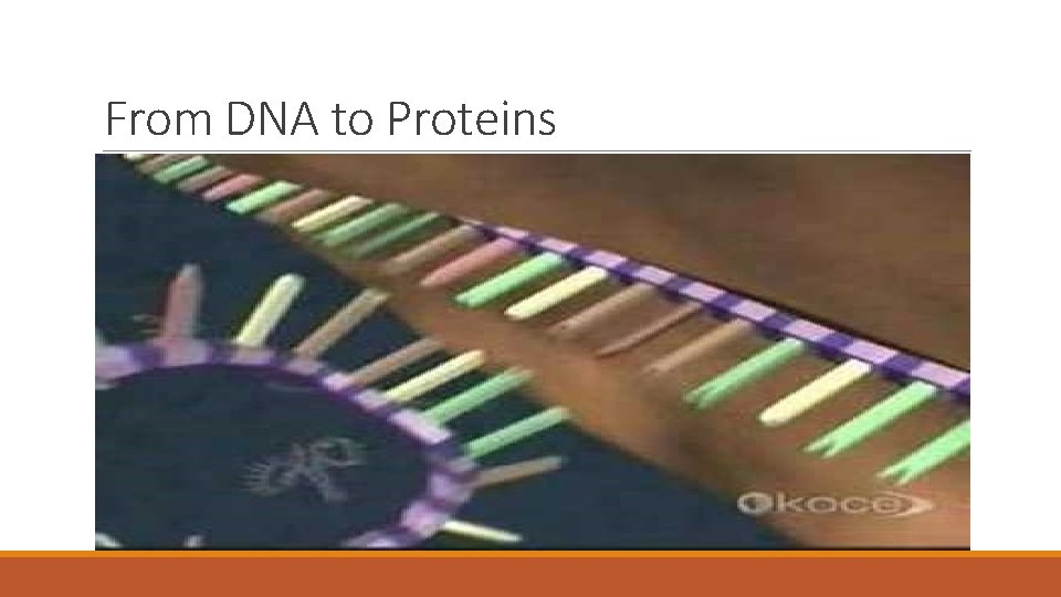 From DNA to Proteins 