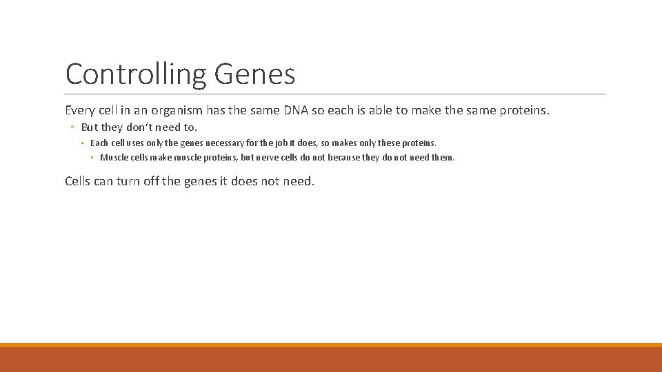 Controlling Genes Every cell in an organism has the same DNA so each is