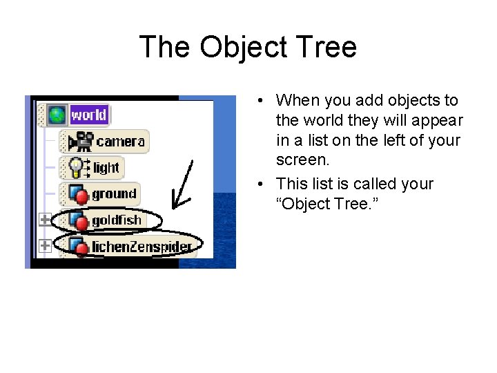 The Object Tree • When you add objects to the world they will appear