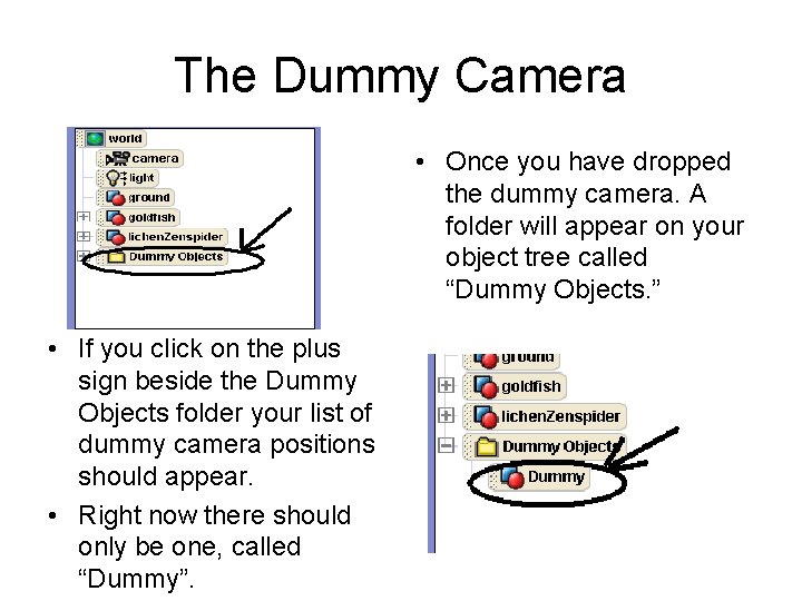 The Dummy Camera • Once you have dropped the dummy camera. A folder will