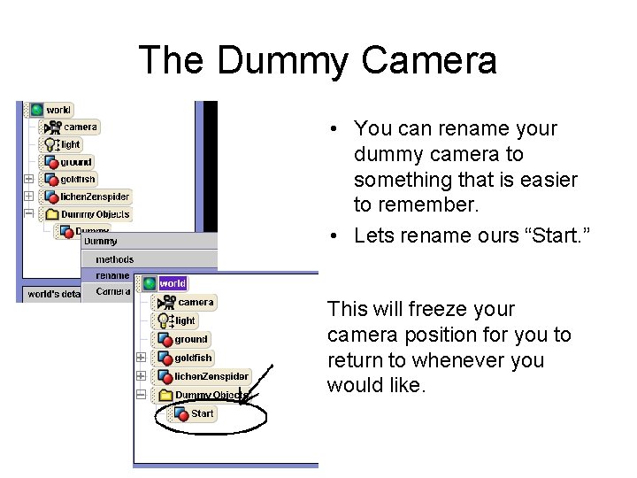 The Dummy Camera • You can rename your dummy camera to something that is