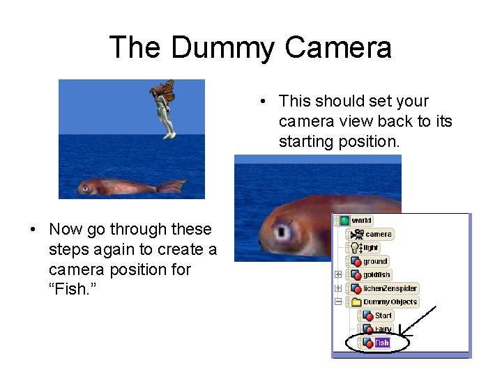 The Dummy Camera • This should set your camera view back to its starting