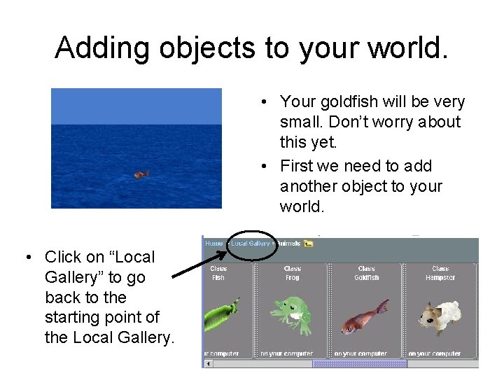 Adding objects to your world. • Your goldfish will be very small. Don’t worry