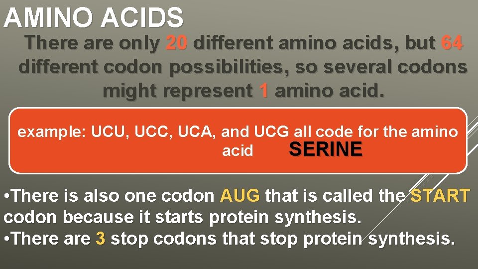 AMINO ACIDS There are only 20 different amino acids, but 64 different codon possibilities,