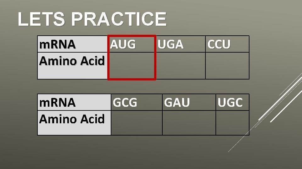 LETS PRACTICE m. RNA AUG Amino Acid m. RNA GCG Amino Acid UGA GAU