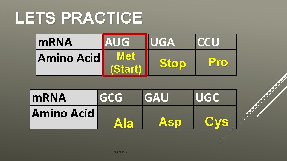 LETS PRACTICE m. RNA AUG Amino Acid Met (Start) UGA Stop m. RNA GCG
