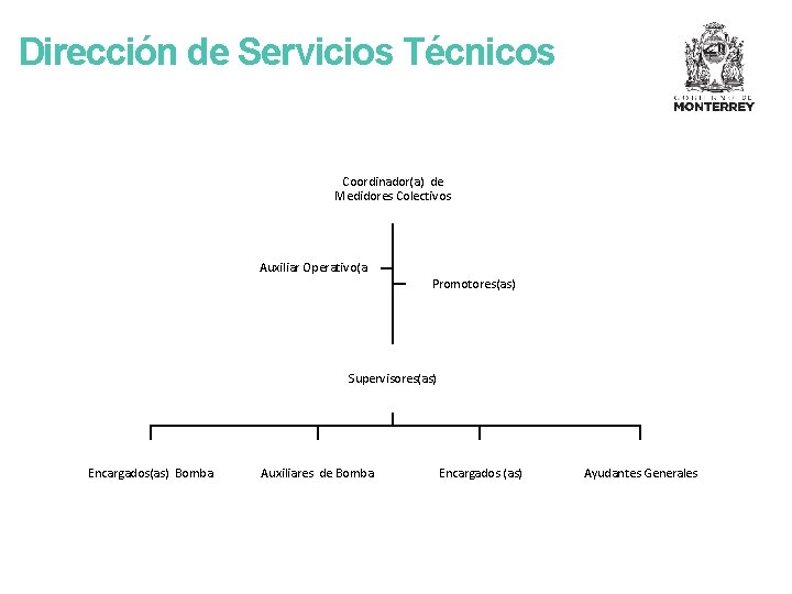 Dirección de Servicios Técnicos Coordinador(a) de Medidores Colectivos Auxiliar Operativo(a Promotores(as) Supervisores(as) Encargados(as) Bomba