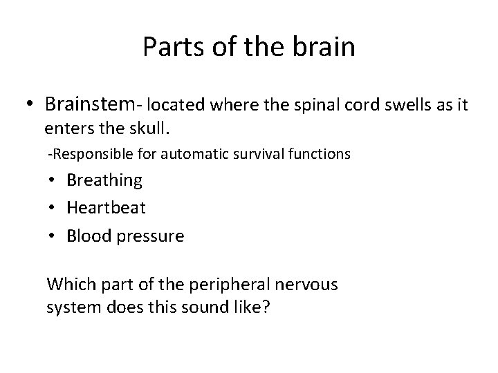 Parts of the brain • Brainstem- located where the spinal cord swells as it
